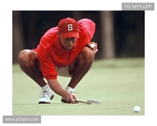 陈静深度解析排球技巧与心得分享助你提升球技的秘诀